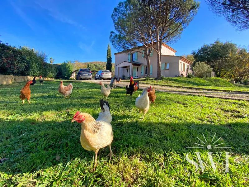 CHARMING PROVENCAL HOUSE, SWIMMING POOL AND LARGE GARDEN