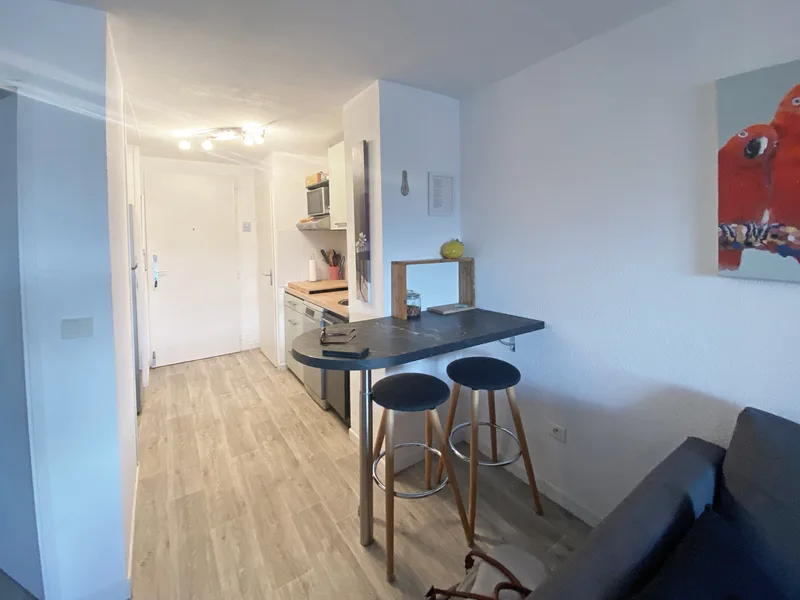 PORT COGOLIN - BEAUTIFUL RENOVATED APARTMENT, CANAL VIEW