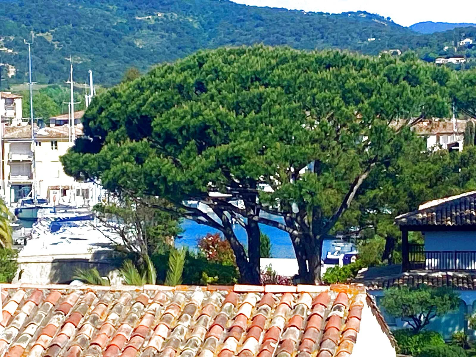 PORT COGOLIN - BEAUTIFUL RENOVATED APARTMENT, CANAL VIEW